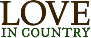Love in Country's poster