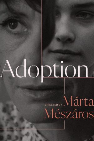 Adoption's poster