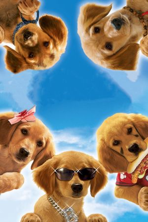 Air Buddies's poster