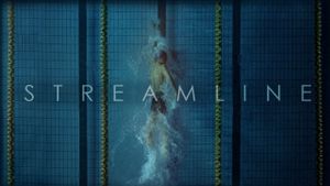 Streamline's poster