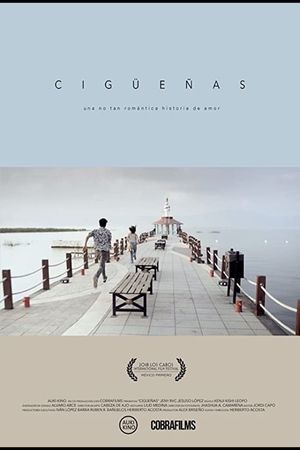 Cigüeñas's poster