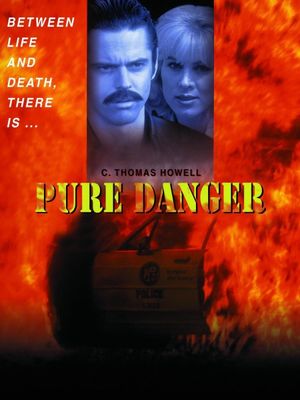 Pure Danger's poster