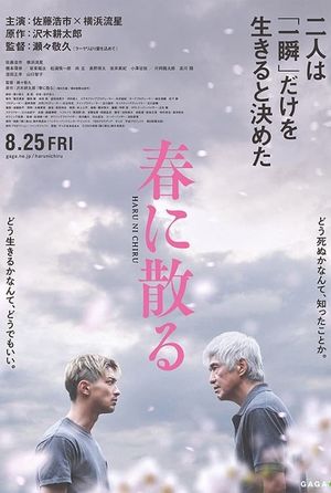 One Last Bloom's poster
