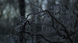 The Ice Storm's poster