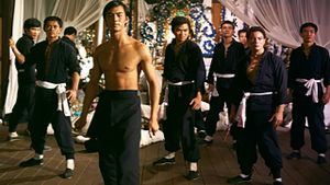 Duel of the Iron Fist's poster