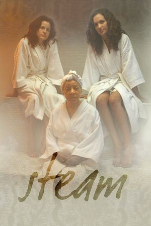 Steam's poster