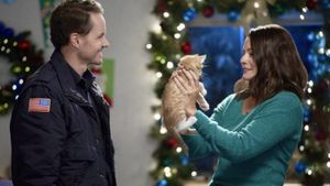 The Nine Kittens of Christmas's poster
