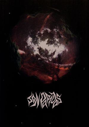 Grey at Night's poster