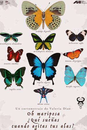 Oh butterfly, what dou you dream of when you flap your wings?'s poster