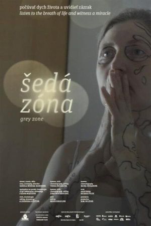 Grey Zone's poster