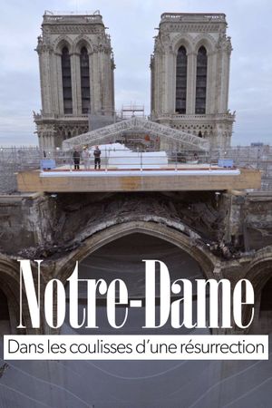 Notre-Dame of Paris, Rising from the Ashes's poster