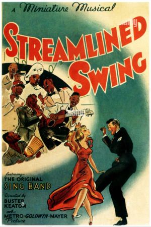 Streamlined Swing's poster image