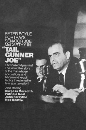 Tail Gunner Joe's poster