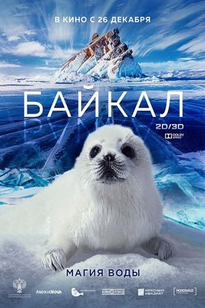 Baikal: Amazing Adventures of Yuma's poster