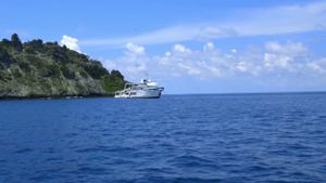 Shark Land: Welcome to Cocos Island's poster