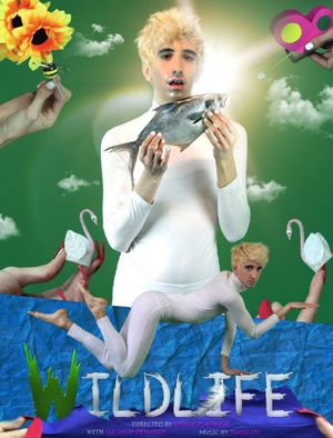 Wildlife's poster