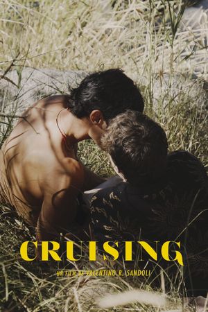 Cruising's poster