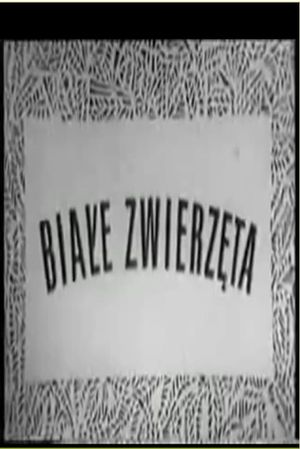 Białe zwierzęta's poster
