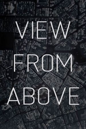 View From Above's poster