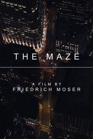 The Maze's poster