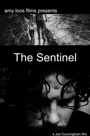 The Sentinel's poster