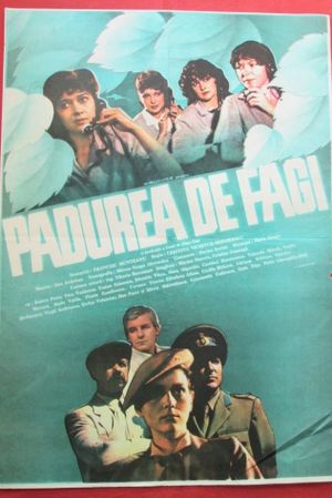 Padurea de fagi's poster
