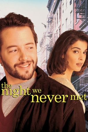 The Night We Never Met's poster