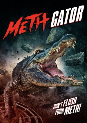 Meth Gators's poster