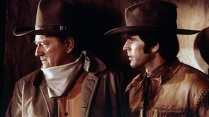 Rio Lobo's poster