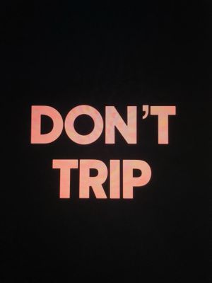 Don't Trip's poster