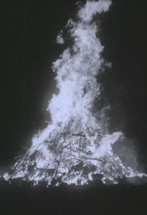 Rat Fire's poster