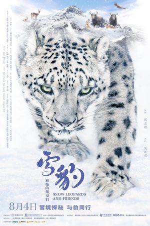 Snow Leopards and Friends's poster