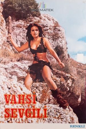 Vahsi Sevgili's poster