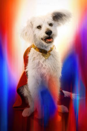 Superman's poster