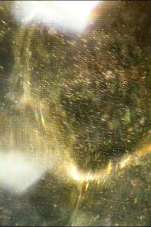 The Dithering Veil's poster