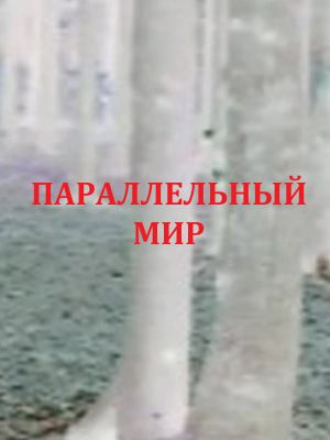 Parallel World's poster