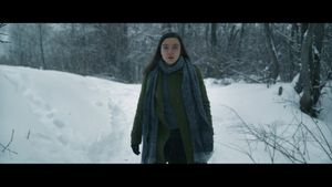 Snow and the Bear's poster