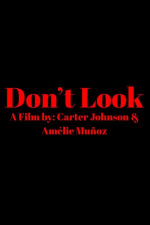 Don't Look's poster