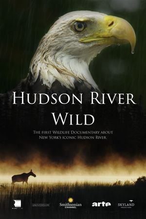 The Hudson River: Journey Into the Wild's poster