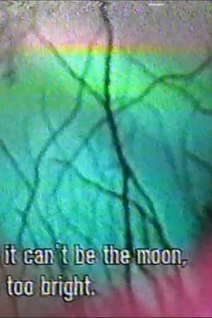 5:5 fallen moon's poster
