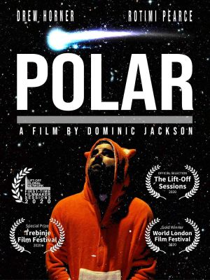 Polar's poster