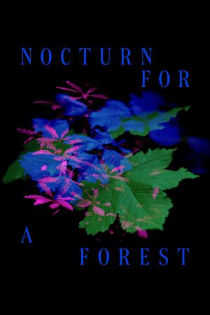 Nocturne for a Forest's poster