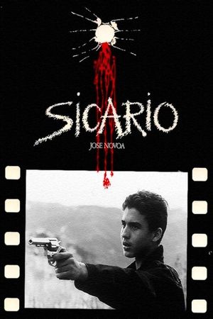 Sicario's poster