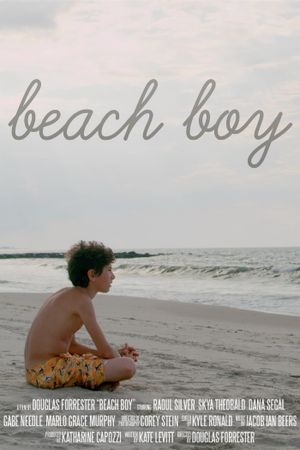 Beach Boy's poster image