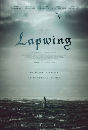 Lapwing's poster