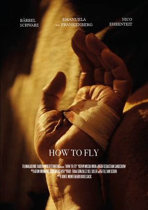 How to Fly's poster