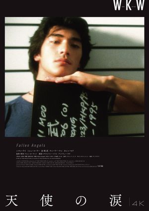 Fallen Angels's poster