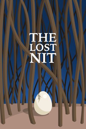 The Lost Nit's poster