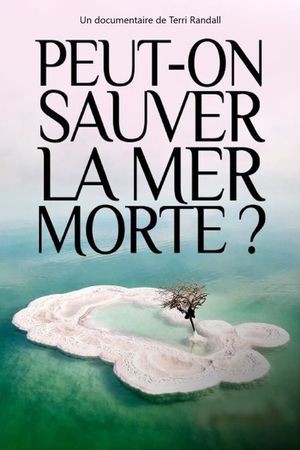 Peut-on sauver la mer Morte ?'s poster