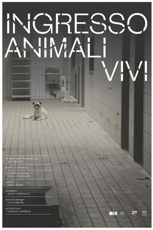 Ingresso animali vivi's poster